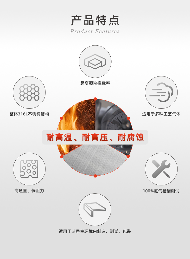 20241130-工藝氣體-F型_04